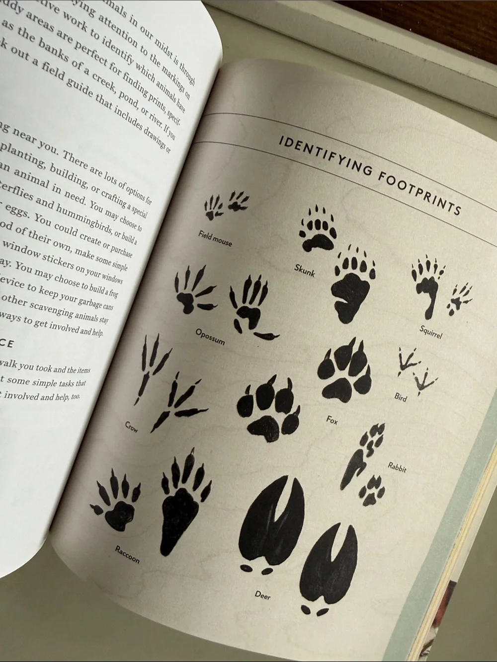Autograph Book ‘Do Unto Animals’ by Tracey Stewart - Jon Stewart Wife